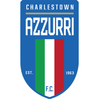 Team Badge