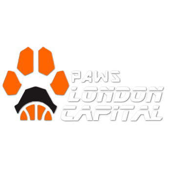 Team Badge
