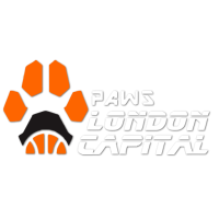 Former team badge icon