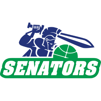 Team Badge
