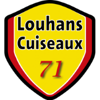 Former team badge icon