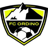 Former team badge icon