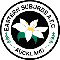 Former team badge icon