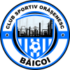 Băicoi badge