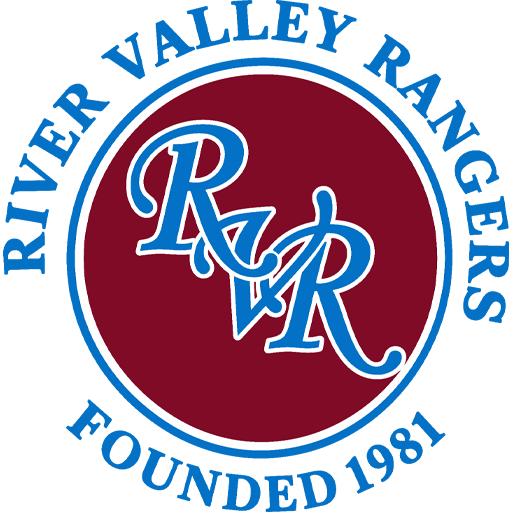 Team Badge icon