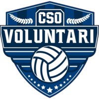 Former team badge icon