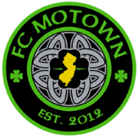 Former team badge icon