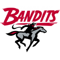 Former team badge icon