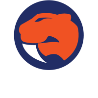 Former team badge icon