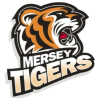 Former team badge icon