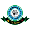 tiny home badge icon