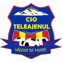 Team Badge