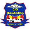 Teleajenul Vălenii de Munte badge