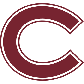 Team Badge
