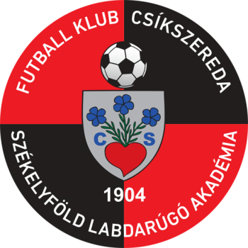 home team badge