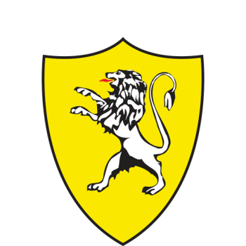 team badge
