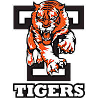 Former team badge icon