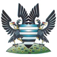 Former team badge icon