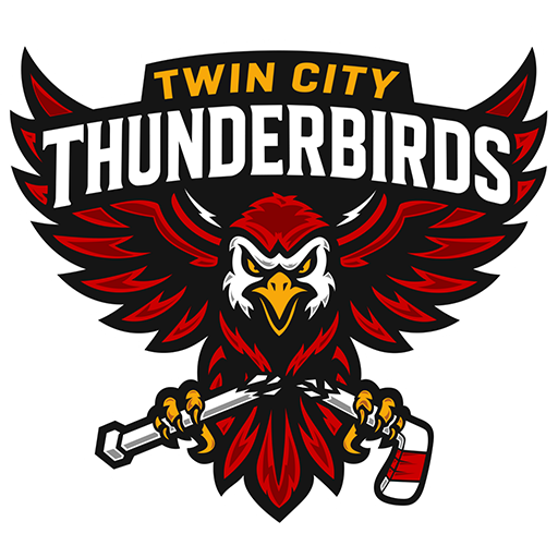 Team Badge icon