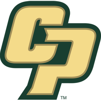 Team Badge