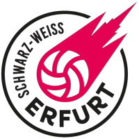 Former team badge icon