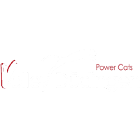 Former team badge icon