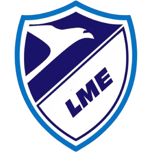 Team Badge icon
