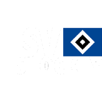 Former team badge icon