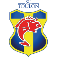 Former team badge icon