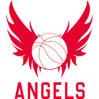 Former team badge icon