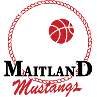 Former team badge icon