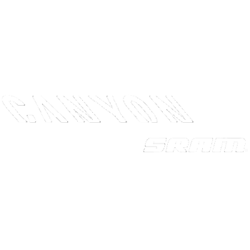 team badge