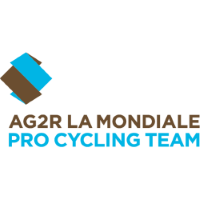 Former team badge icon