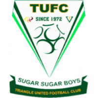 Team Badge