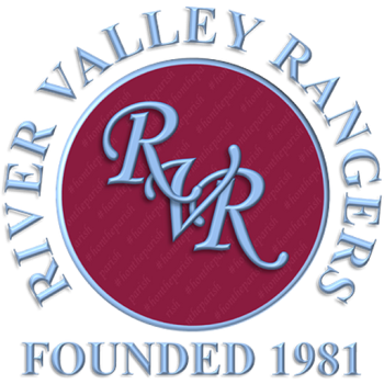 Team Badge