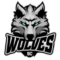 Former team badge icon