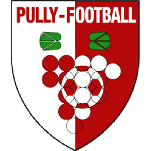 Team Badge icon