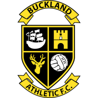 Former team badge icon