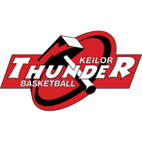 Former team badge icon