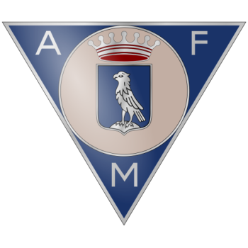 Team Badge