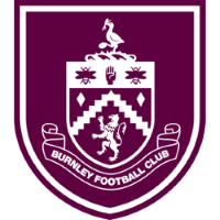 Former team badge icon
