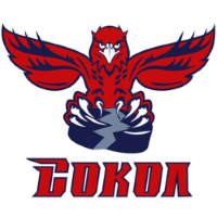 Former team badge icon