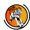 tiny home badge icon