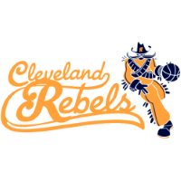 Former team badge icon