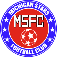Michigan Stars badge