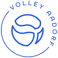 Former team badge icon