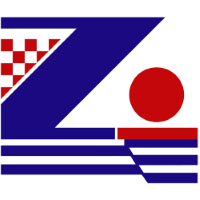 Former team badge icon