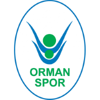 Former team badge icon