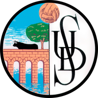 Salamanca UDS B badge