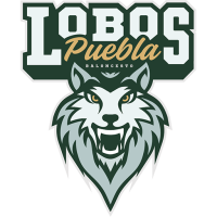 Former team badge icon